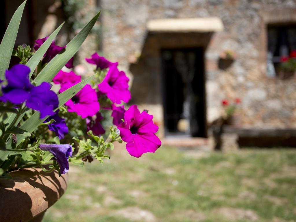 Villa Novelleto Monteriggioni Exterior foto