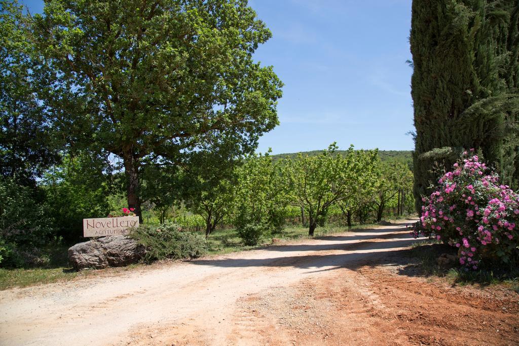 Villa Novelleto Monteriggioni Exterior foto